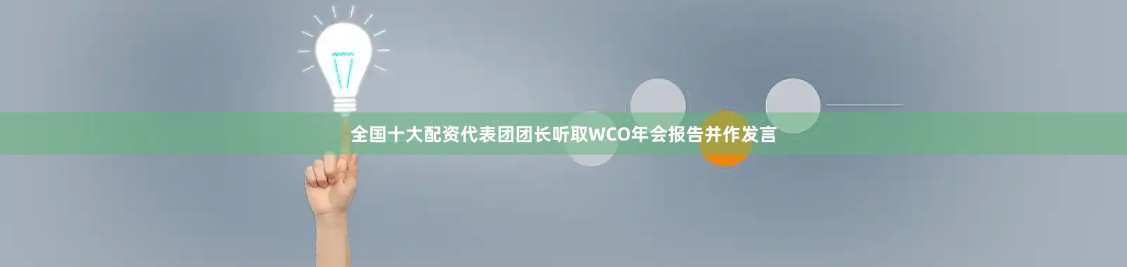 全国十大配资代表团团长听取WCO年会报告并作发言