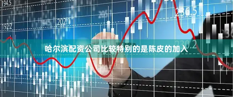 哈尔滨配资公司比较特别的是陈皮的加入