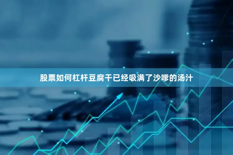 股票如何杠杆豆腐干已经吸满了沙嗲的汤汁