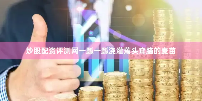 炒股配资评测网一瓢一瓢浇灌蔫头耷脑的麦苗
