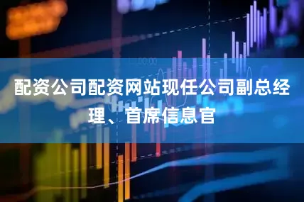 配资公司配资网站现任公司副总经理、首席信息官