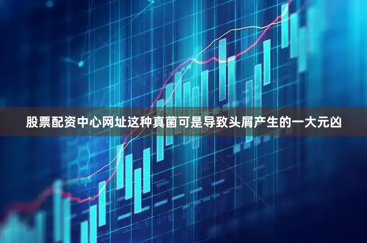 股票配资中心网址这种真菌可是导致头屑产生的一大元凶