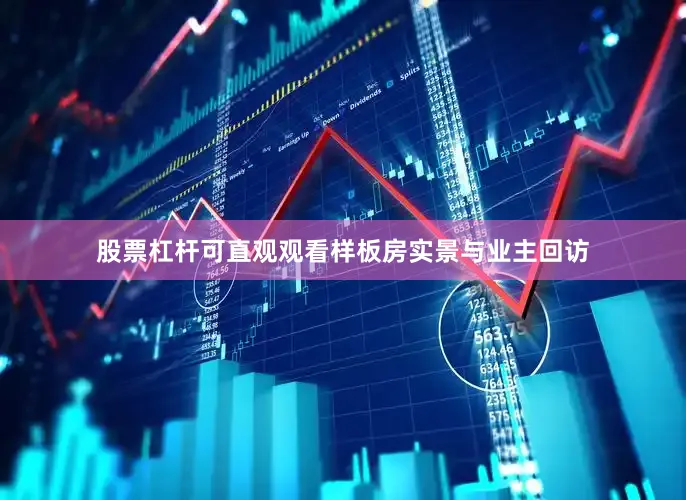 股票杠杆可直观观看样板房实景与业主回访